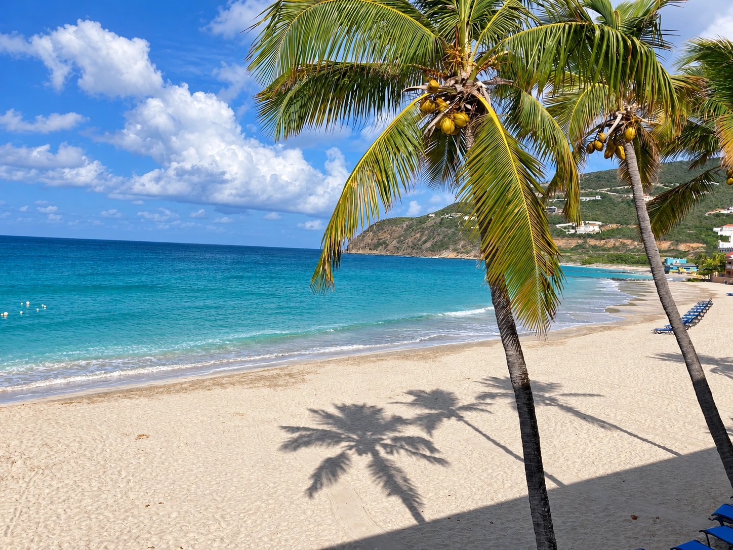 Palm trees beside a clear turquoise sea and sandy Caribbean beach